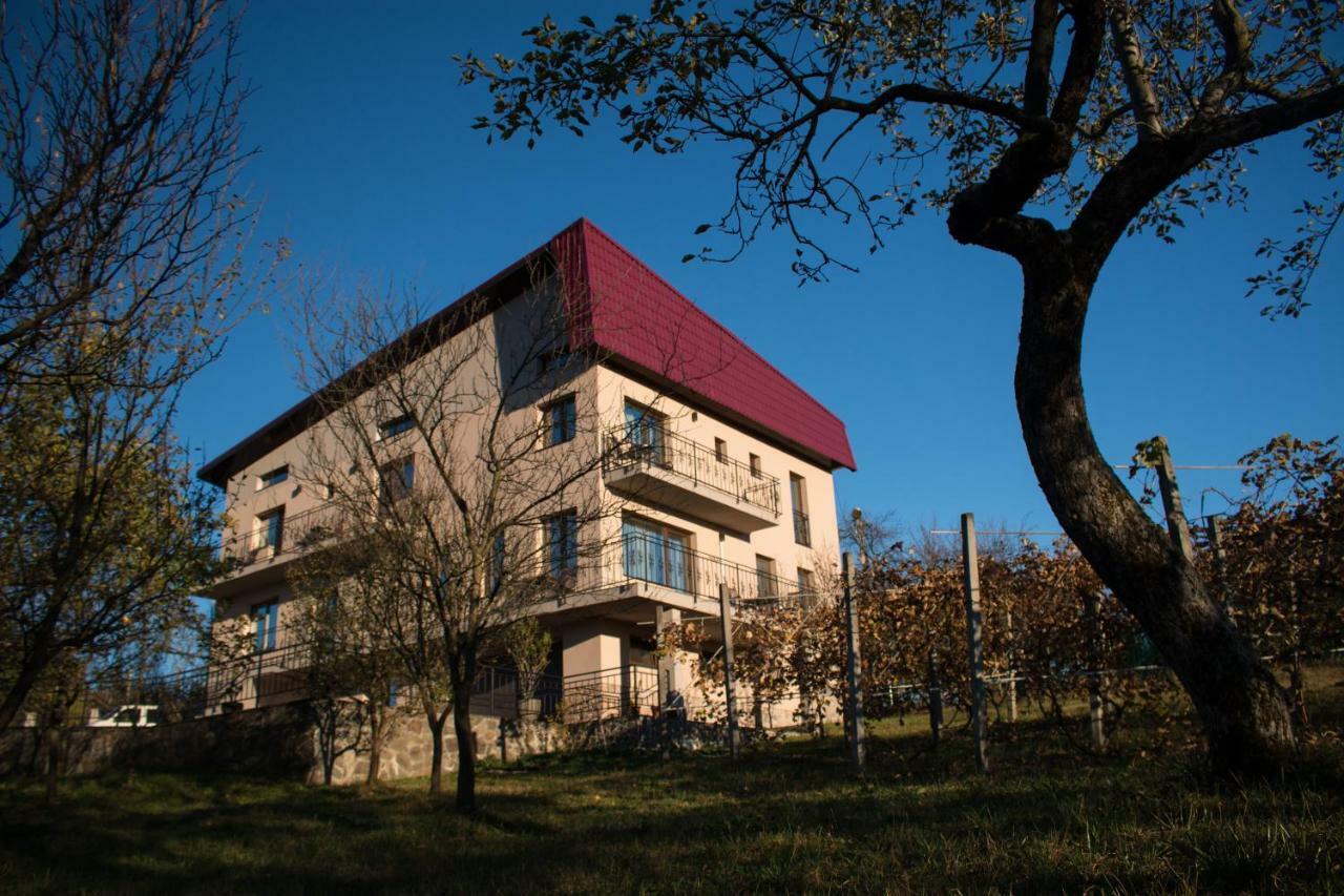 Panoramic Hotell Baia-Sprie Eksteriør bilde