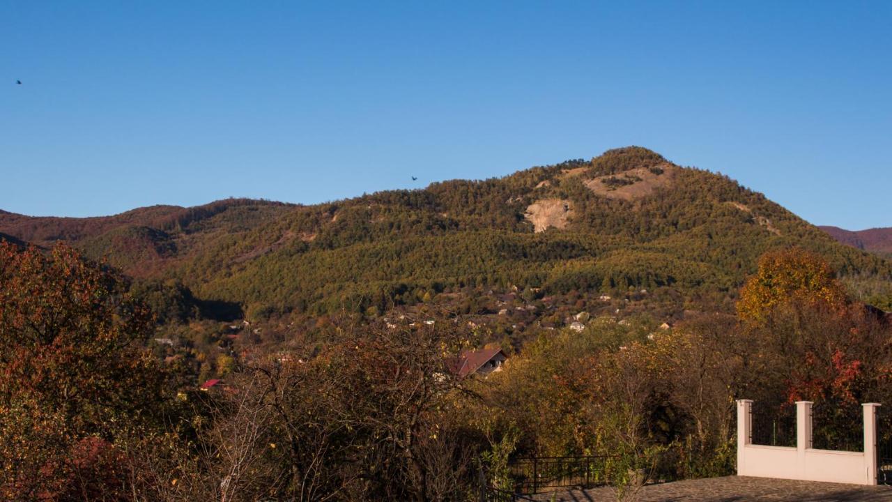 Panoramic Hotell Baia-Sprie Eksteriør bilde